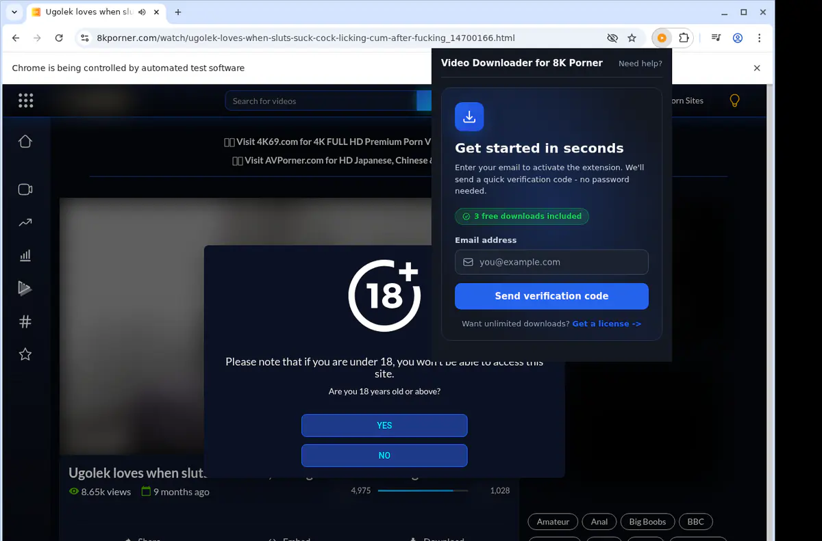 8kporner Video Downloader browser extension screenshot 5